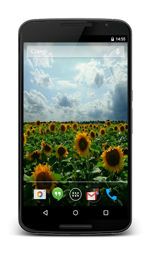 【免費個人化App】Sunflowers Live Wallpaper-APP點子