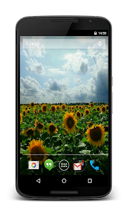 Lastest Sunflowers 3D Live Wallpaper APK for PC