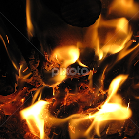 burn baby burn by Dora Verlic - Abstract Fire & Fireworks