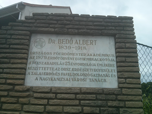 Dr. Bedő Albert