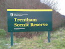 Trentham Scenic Reserve