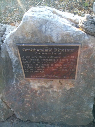 Ornithomimid Dinosaur Plaque