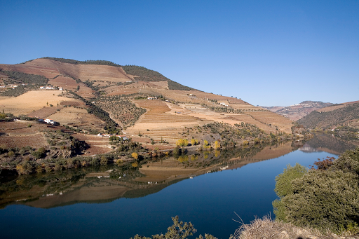 Douro More Than Wine