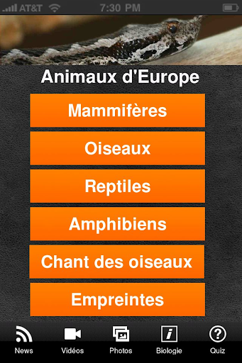 Nos Animaux