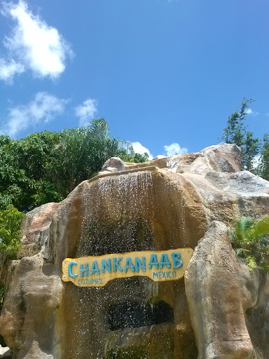 Chankanaab Waterfalls