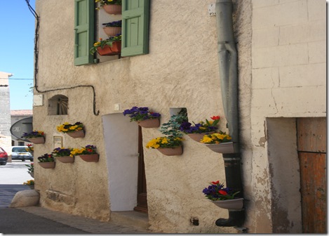 Provence 219