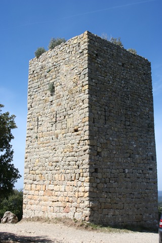 [AupsandTourtour0492.jpg]