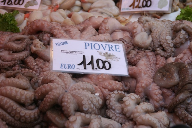 [Venice0454.jpg]