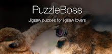 Lion Jigsaw Puzzles Demo APK