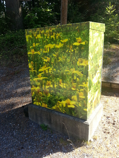 Kittson Flower Box