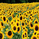 sunflower pictures v3 APK