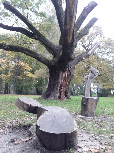 Rakovec Oak Wooden Art