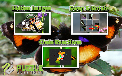 Free Butterfly Puzzle Games Screenshots 3