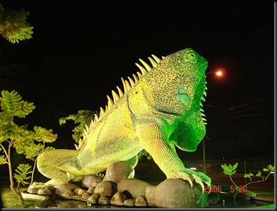 iguana urdesa