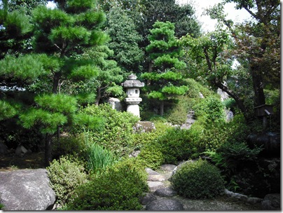 DSCF9967