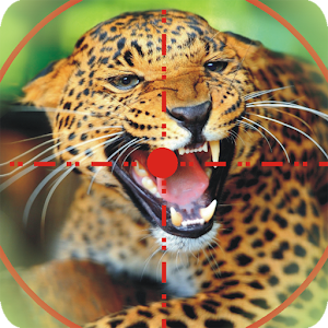 Wild Animal Hunting 1.1