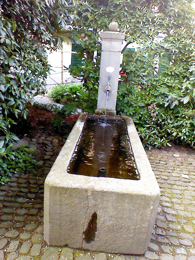 Brunnen Grabengasse 