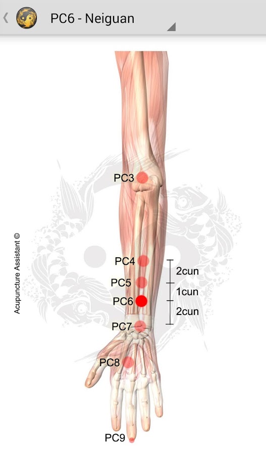 Acupuncture Assistant Android Apps on Google Play