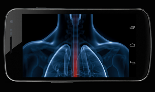 Body Xray- Prank Screenshots 5