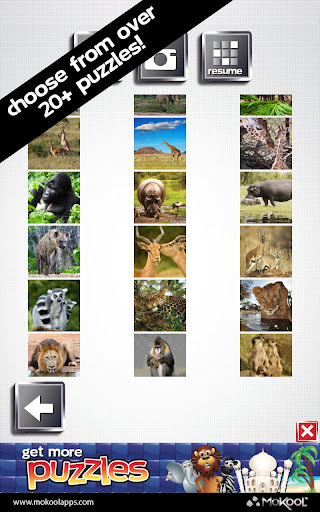 非洲野生動物園拼圖