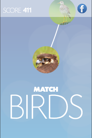 matchBIRDS