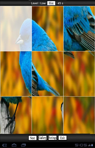 【免費解謎App】Bird Jigsaw Puzzle-APP點子