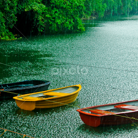 It's Raining Need to wait by Padz Eef - Fotografo - Transportation Boats