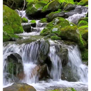 Nature LiveWallpaper 1.0