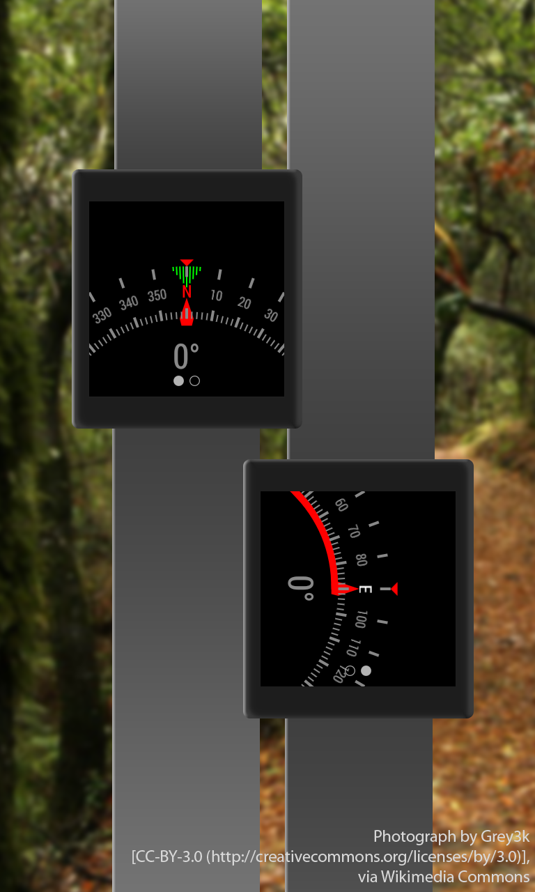 Bearing - Android wear compass Screen 1