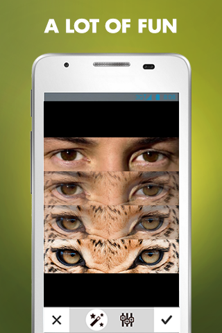 Animal Eyes Pro - screenshot