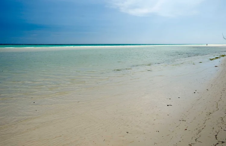 Sail to the beaches of Freeport in the Bahamas on Carnival Cruise Lines. 