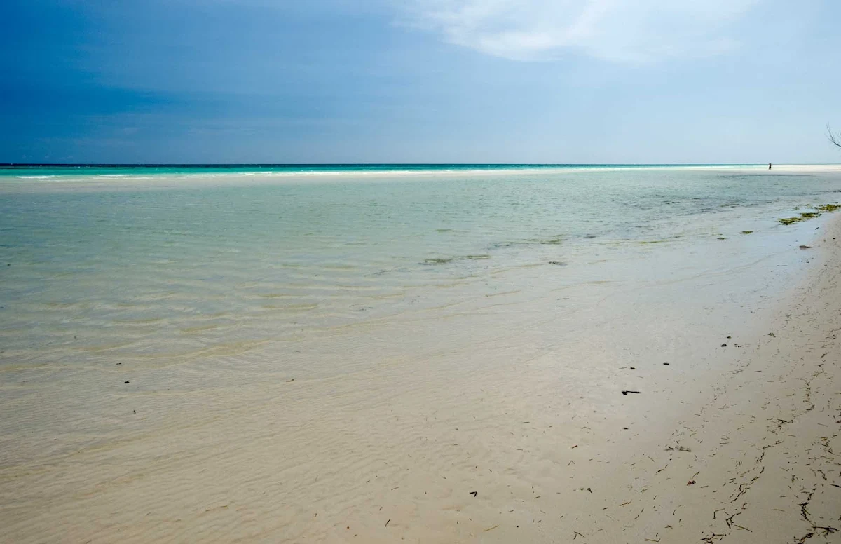 Freeport-Bahamas-2 - Sail to the beaches of Freeport in the Bahamas on Carnival Cruise Lines. 