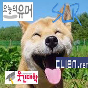 유머차트(오유,클리앙,웃대,SLR) 1.4