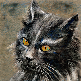 Wild Cat by Daliana Pacuraru - Drawing All Drawing
