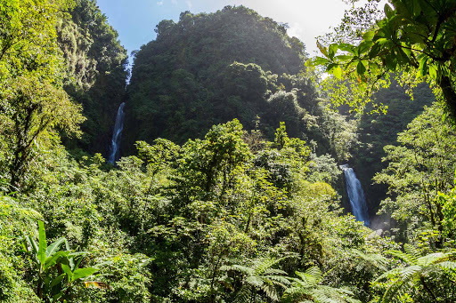 Two waterfalls tumble side by side on Dominica.