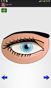 How to Draw: Human Body Parts Screenshots 7
