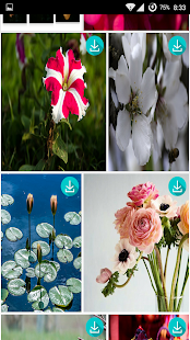 How to mod Flowers Wallpapers HD 1.0 mod apk for bluestacks