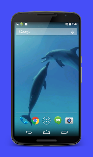 【免費個人化App】Dolphins Video Live Wallpaper-APP點子