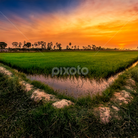 Caught by Liquid Lens - Landscapes Prairies, Meadows & Fields