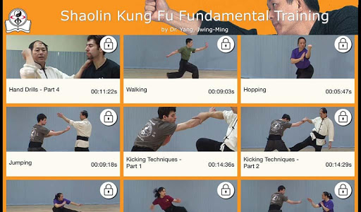 Shaolin Kung Fu Training