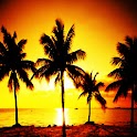 3D lovely sunset1 logo
