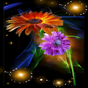 Glow Flower Live Wallpaper