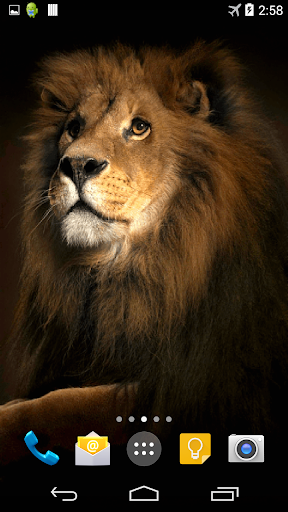 Lion 3D Live Wallpaper