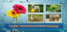 Toddler Animal Sounds Multi APK