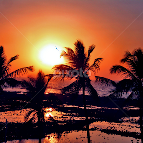 by रोहित वसावे - Landscapes Sunsets & Sunrises