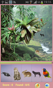 Download Hidden Object FOREST - 2015 APK