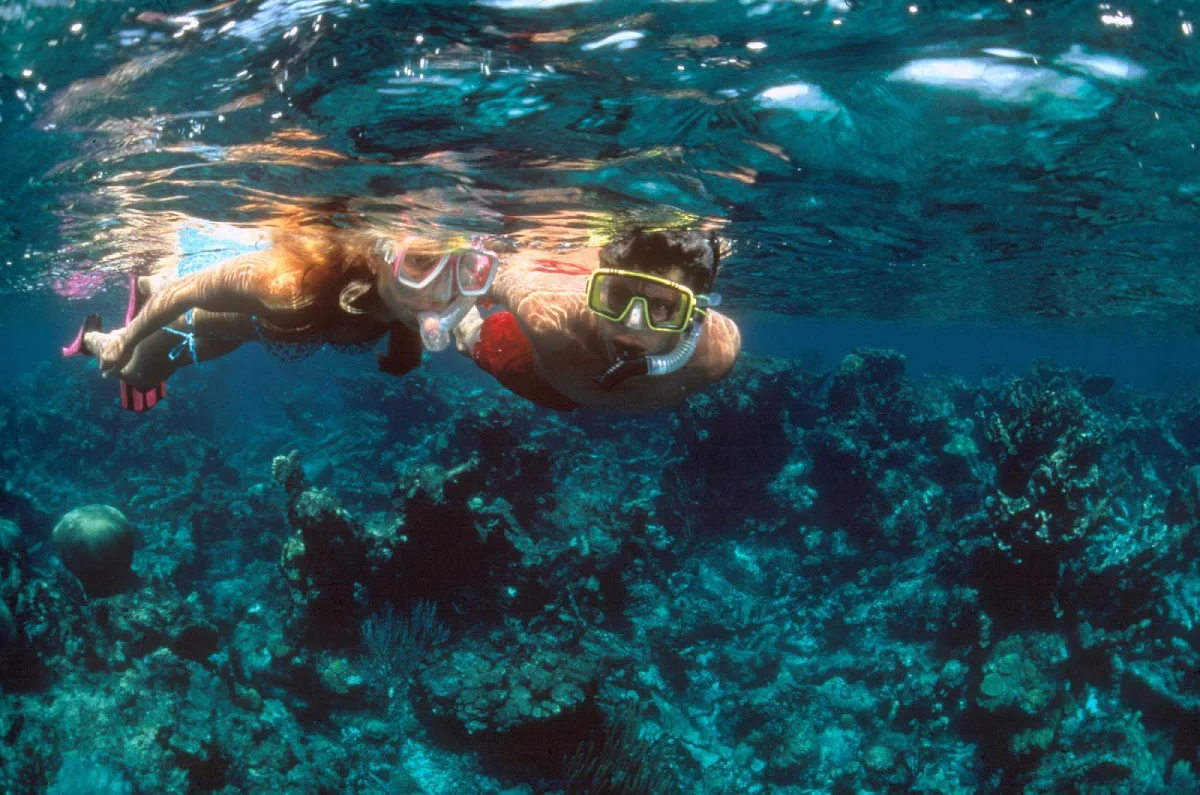 Snorkelers-US-Virgin-Islands - Snorkelers explore a reef in St. Thomas, US Virgin Islands.