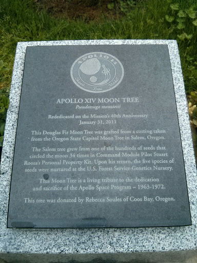 Apollo XIV Moon Tree