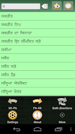 Kazakh Punjabi Dictionary poster 5