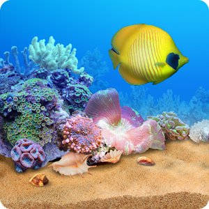 Aquarium HD for GoogleTV.apk 1.0.3